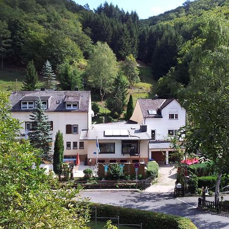 Ferien Und Selbstversorgerhaus Fuer Gruppen Sauerthaler Hof - Loreley エクステリア 写真
