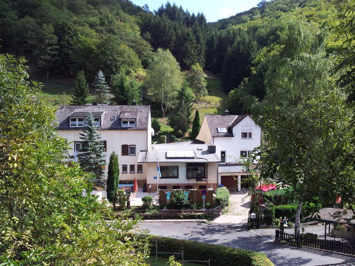 Ferien Und Selbstversorgerhaus Fuer Gruppen Sauerthaler Hof - Loreley エクステリア 写真